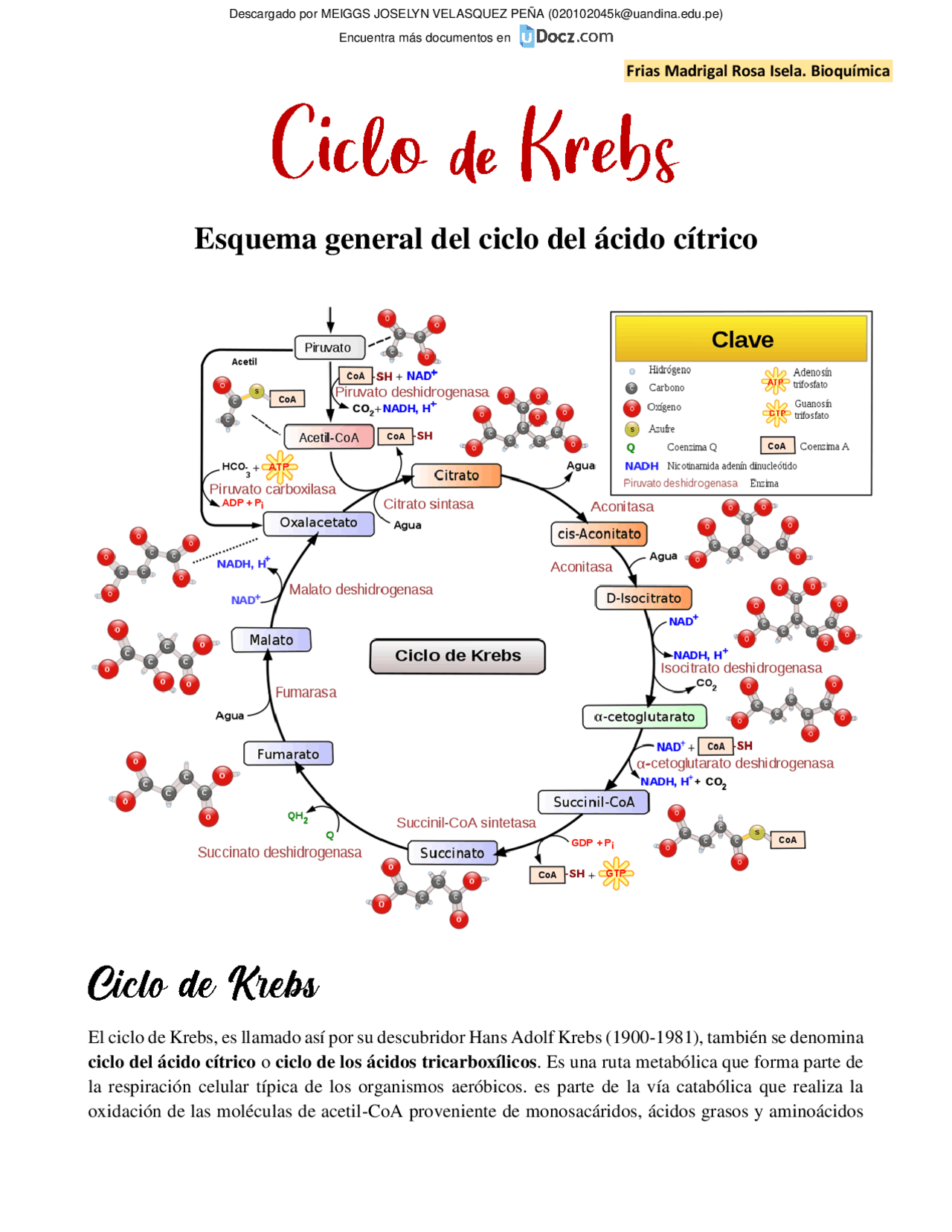 Ciclo De Krebs Esquema General Del Ciclo Del cido C trico Res menes ciclo-de-krebs-esquema-general-del-ciclo-del-cido-c-trico-res-menes