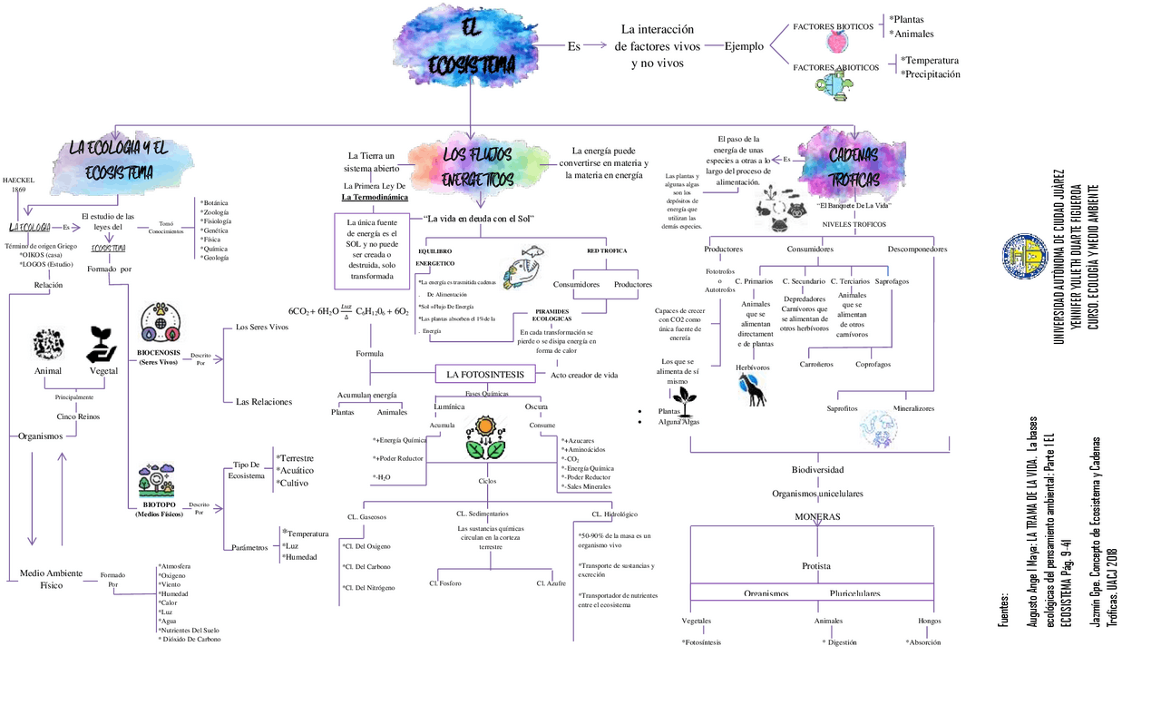 Hoja De Trabajo Con Mapa Conceptual De Ecosistemas Los Ecosistemas