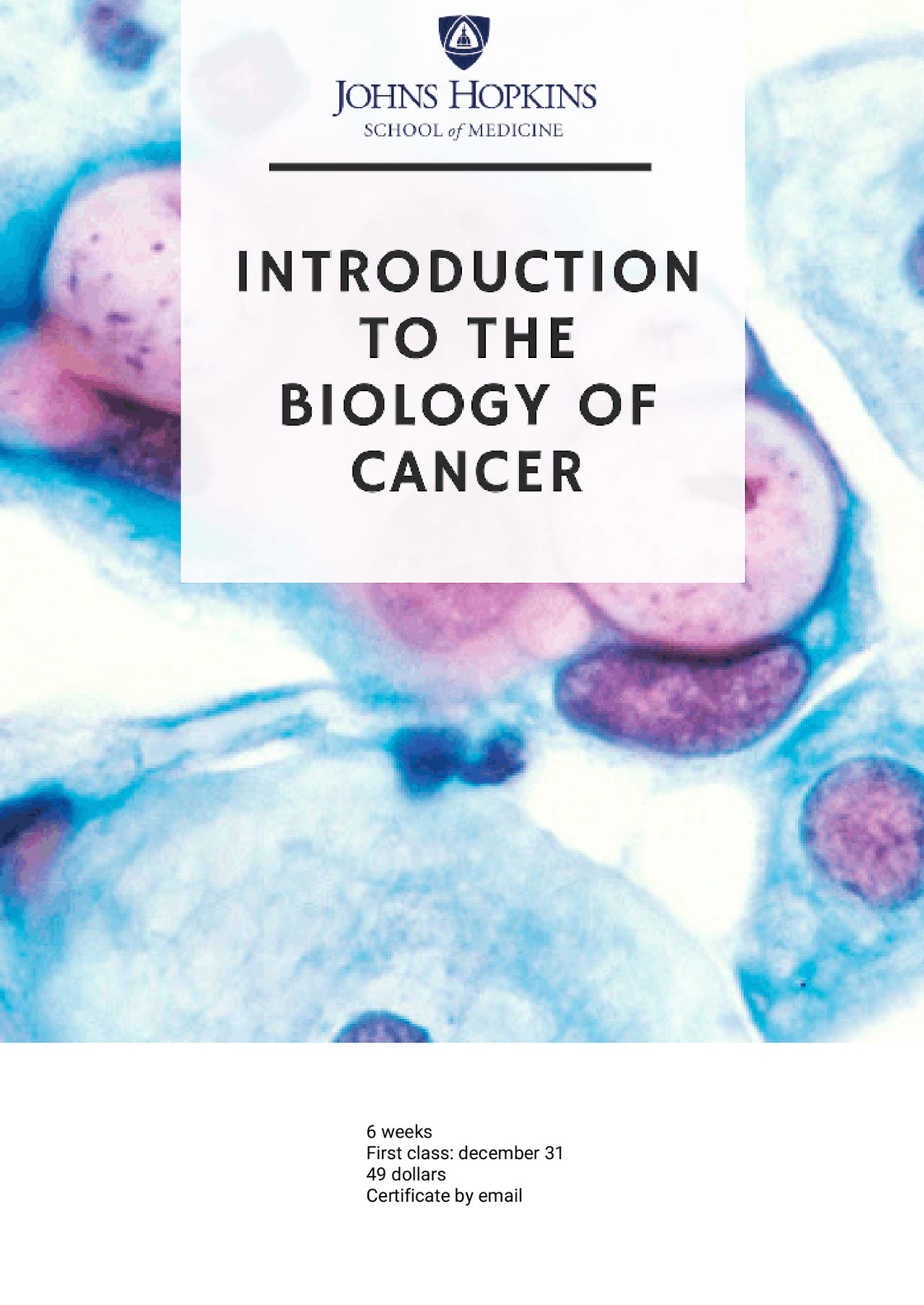 Introduction to biology of cancer - Docsity