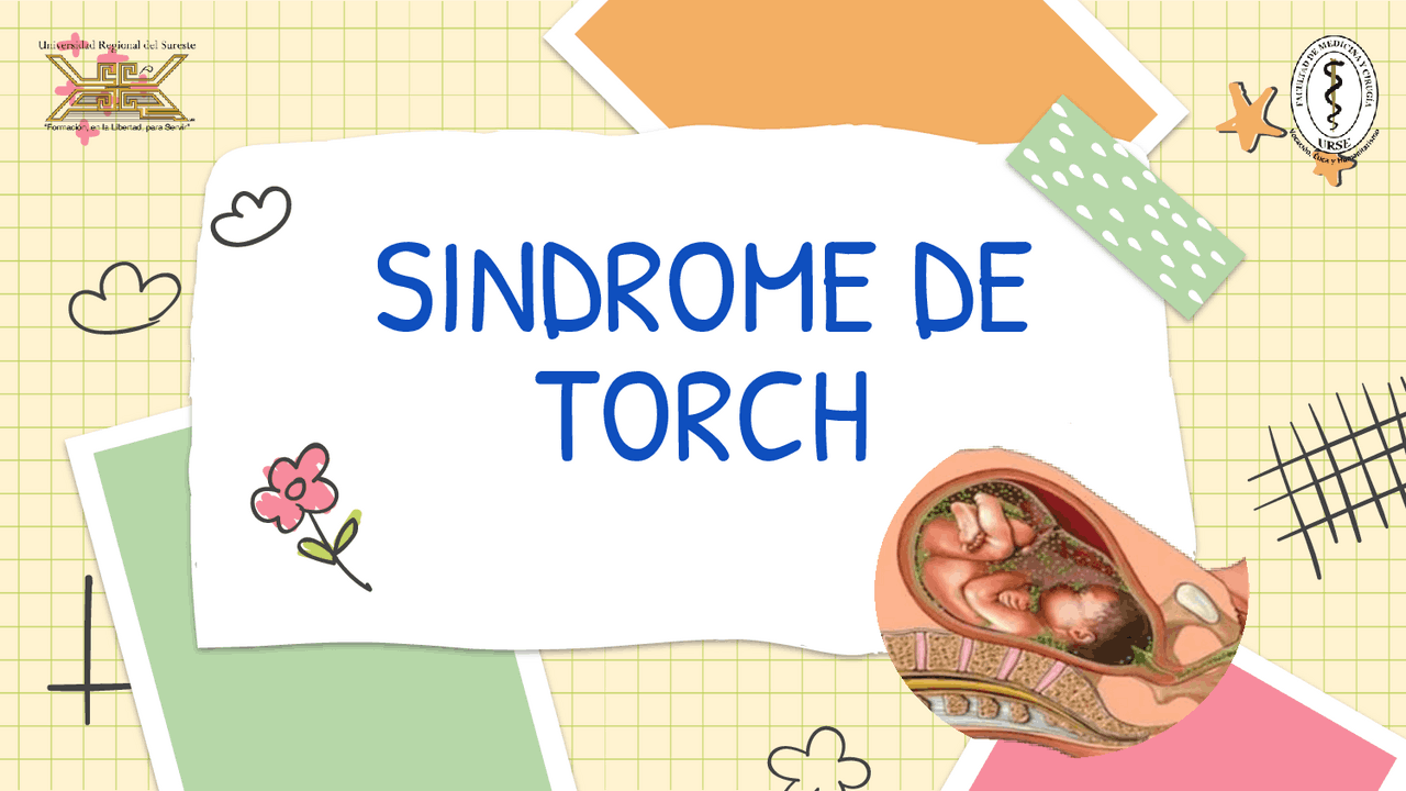 PRESENTACIÓN SINDROME DE TORCH | Resúmenes de Pediatría - Docsity
