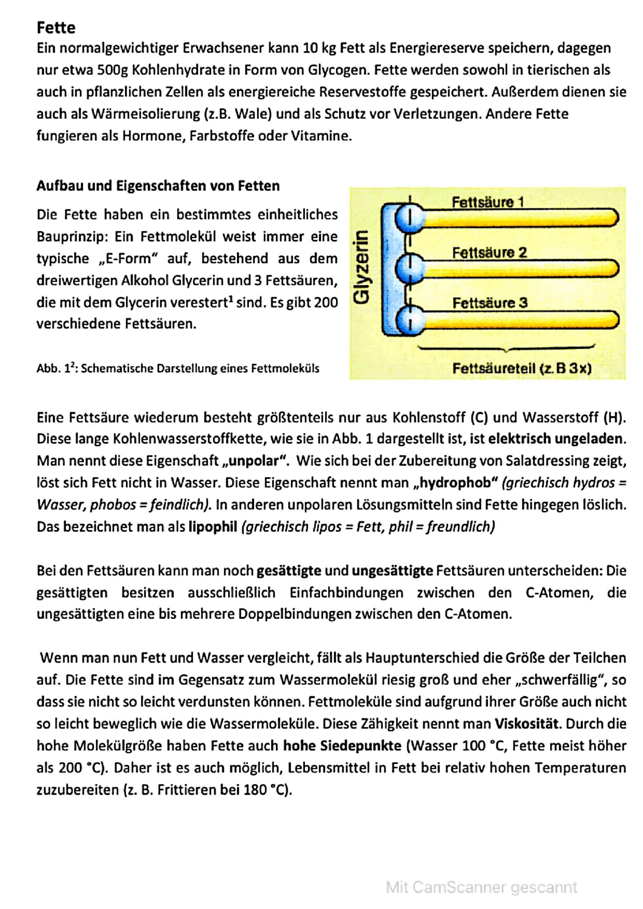 Fette Aufbau + Eigenschaften - Docsity