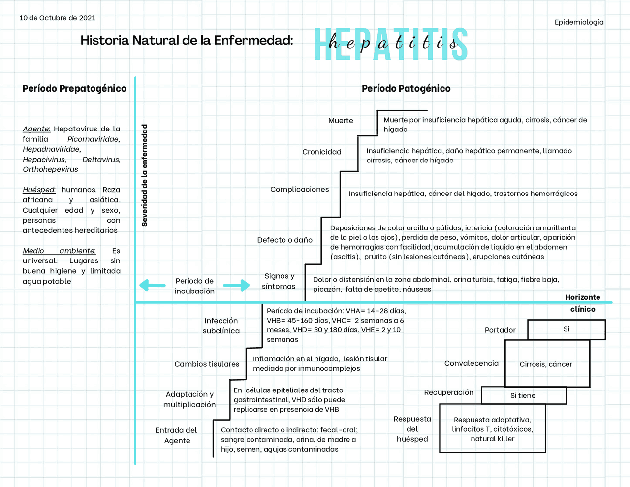 Historia Natural de la hepatitis | Resúmenes de Epidemiología | Docsity