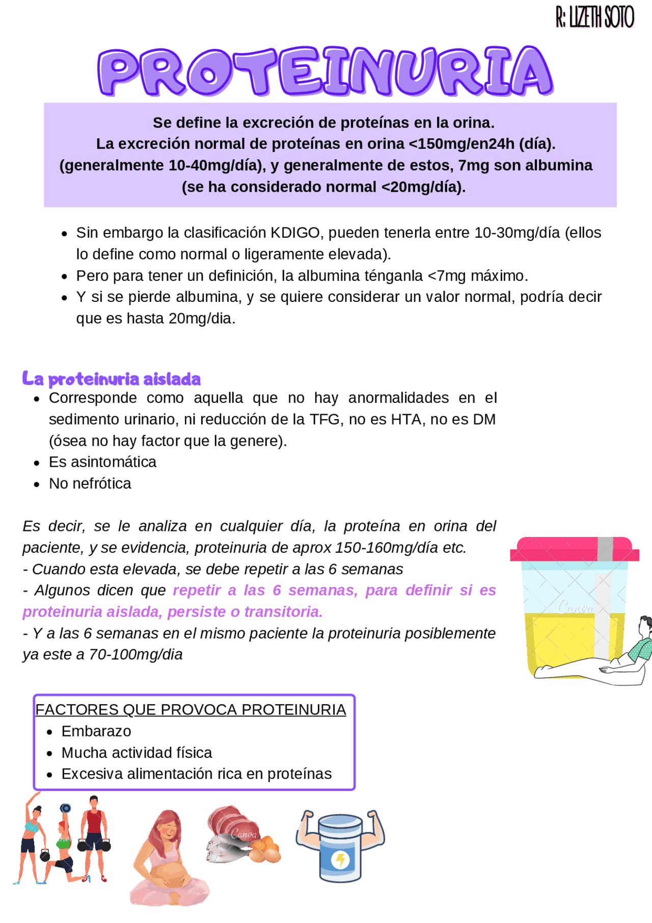 PROTEINURIA (PROTEINAS EN ORINA). Apuntes de Nefrología Docsity