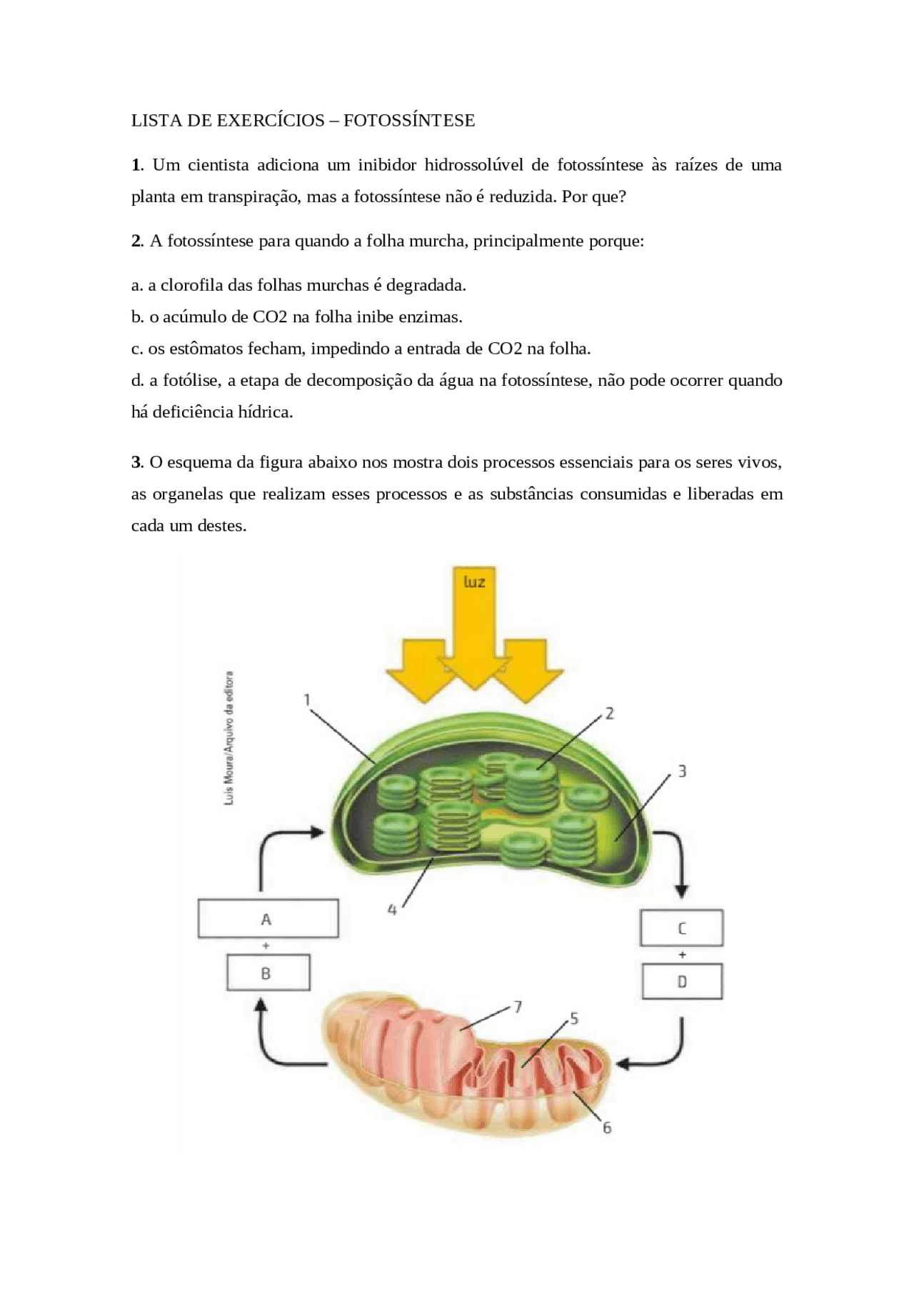 Exercícios sobre fotossintese - Docsity