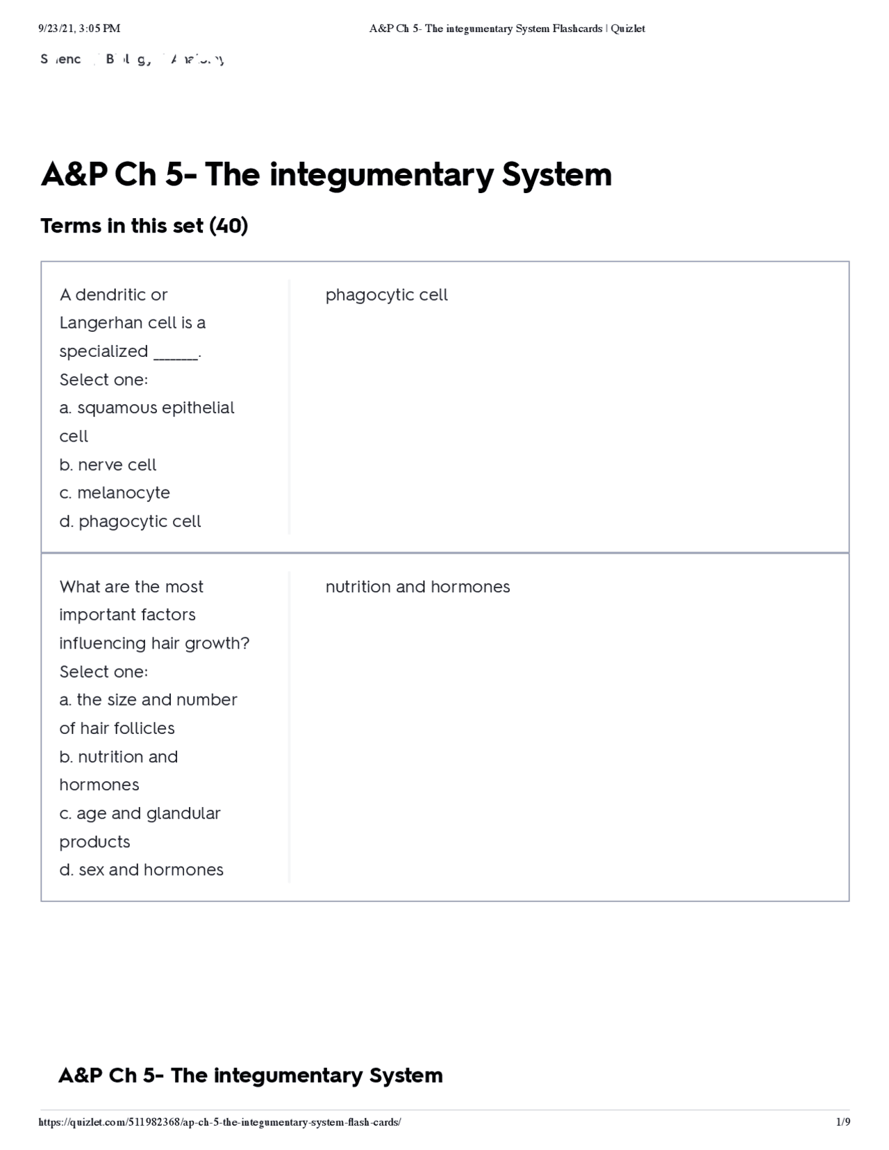 Ch.5 Integumentary System | Quizzes Anatomy | Docsity
