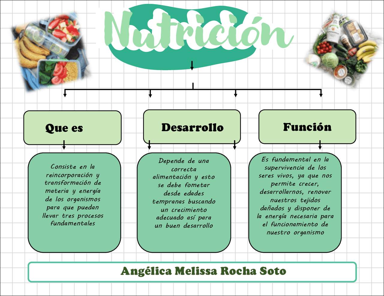Mapa conceptual de la nutrición Docsity Mapa conceptual de la nutrición Docsity