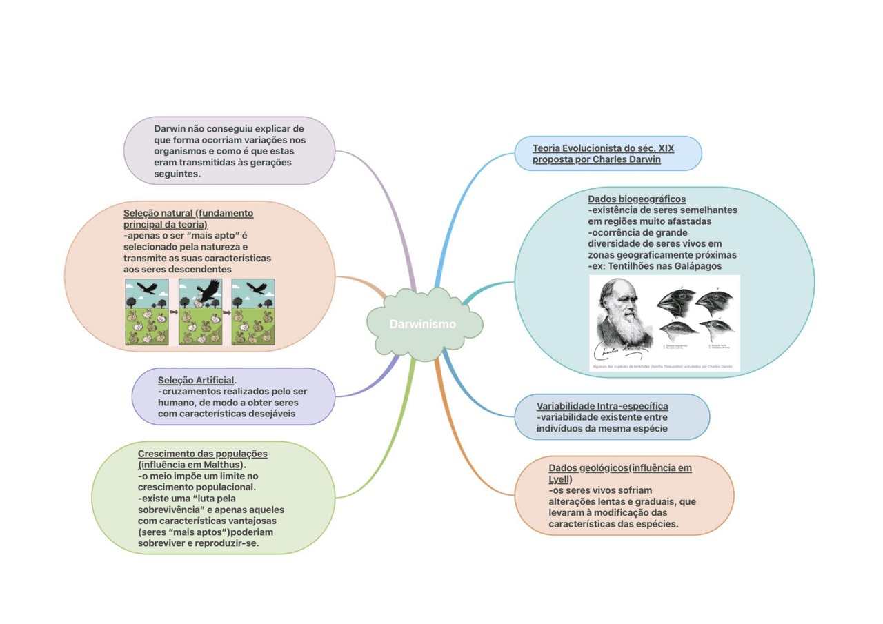 Mapa Mental Darwinismo Social - NAZAEDU