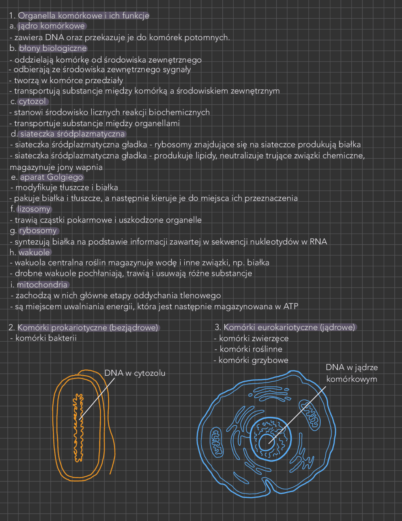 Komórka 1 Liceum Biologia Sprawdzian