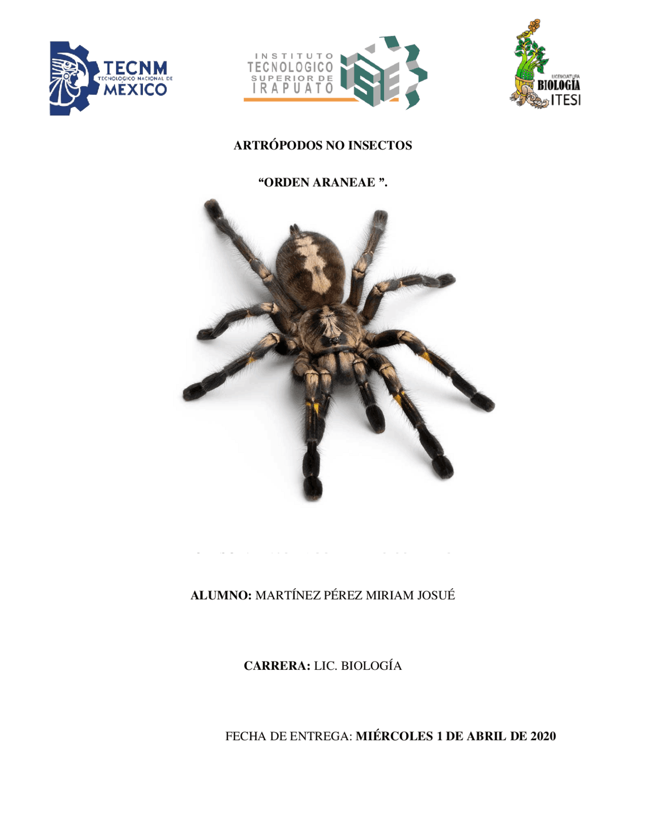 ARTRÓPODOS NO INSECTOS “ORDEN ARANEAE ”. - Docsity