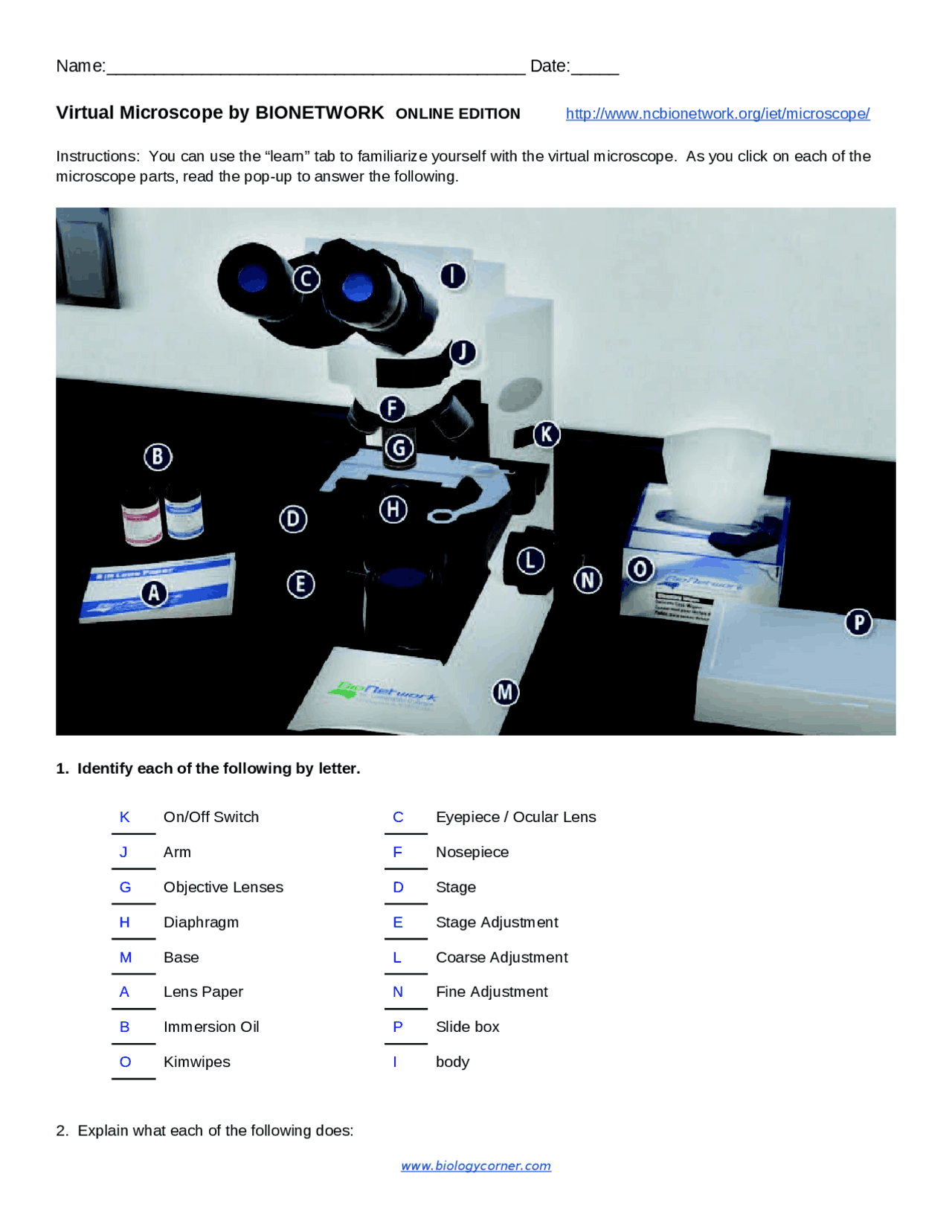 Bionetwork Virtual Microscope by BIONETWORK ONLINE EDITION | Assignments Biology ...