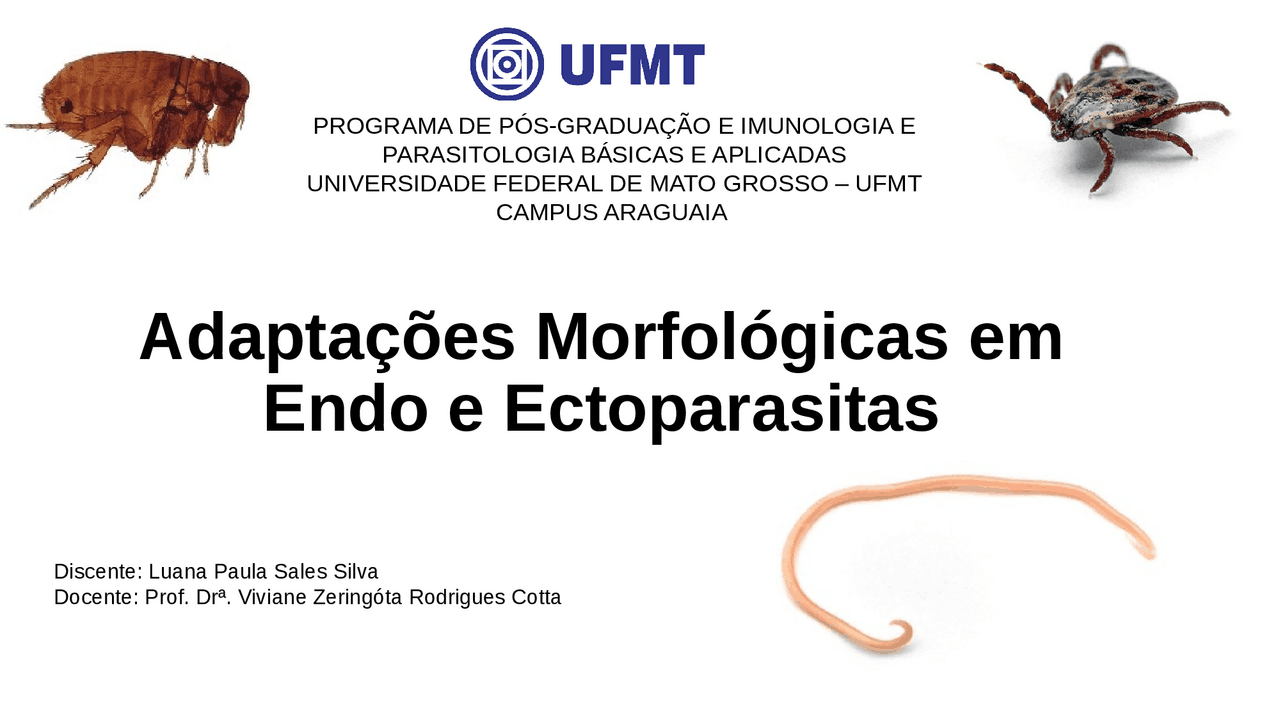 Alterações morfológicas endo e ectoparasitas - Docsity