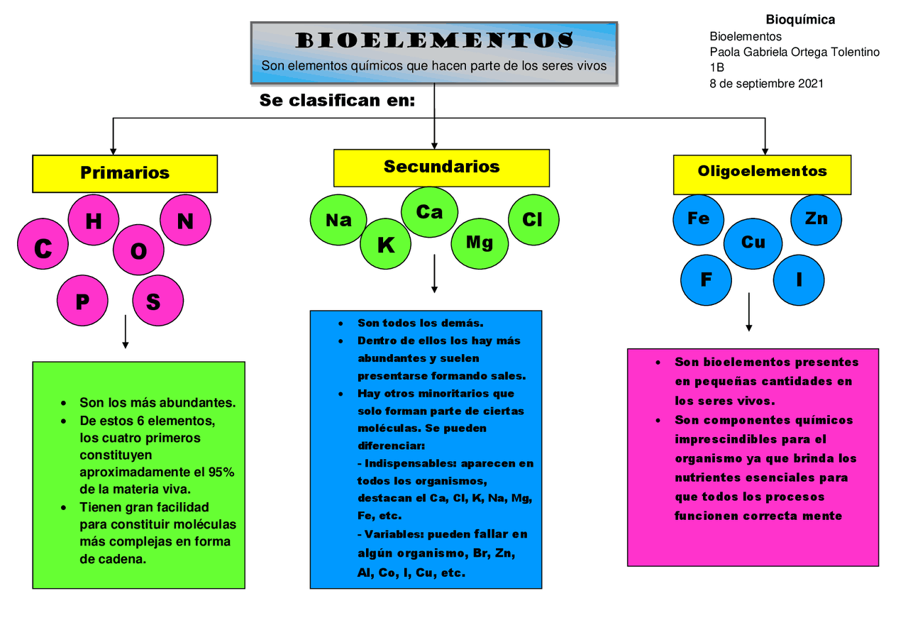 Clasificación de los bioelementos - Docsity