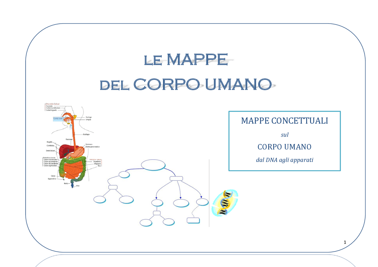 Organizzazione Del Corpo Umano Mappa Concettuale Il corpo umani: mappe concettuali sugli apparati del corpo | Schemi e