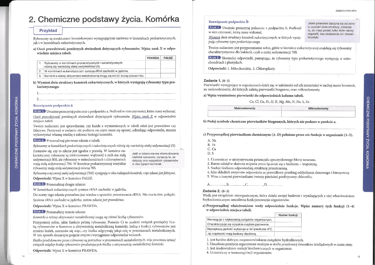 Chemiczne podstawy życia | Essays (high school) Biology | Docsity
