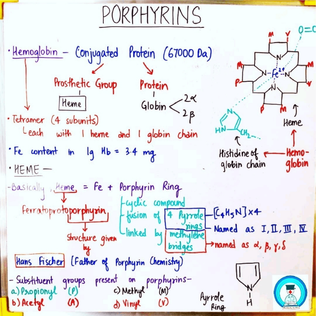 Porphyrins biology notes - Docsity