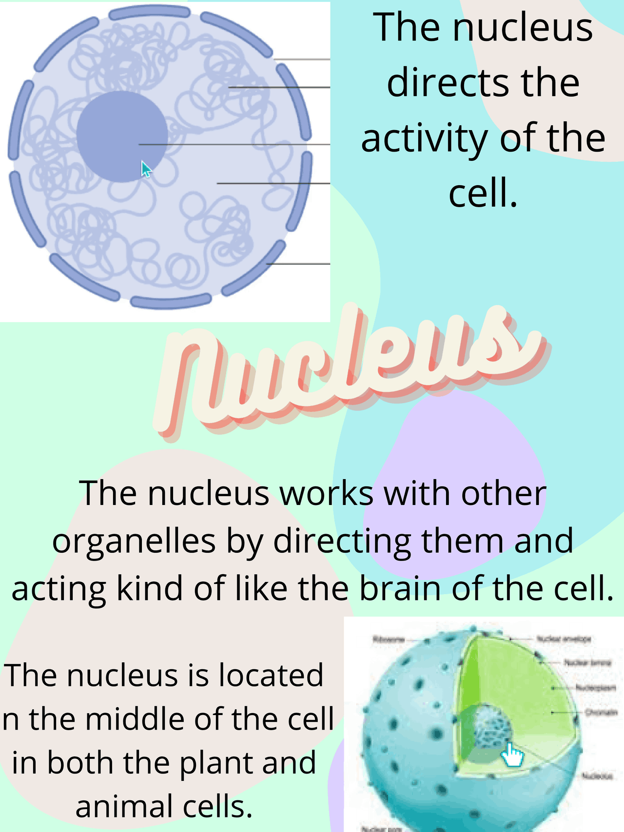 Nucleus Project Poster Example - Docsity