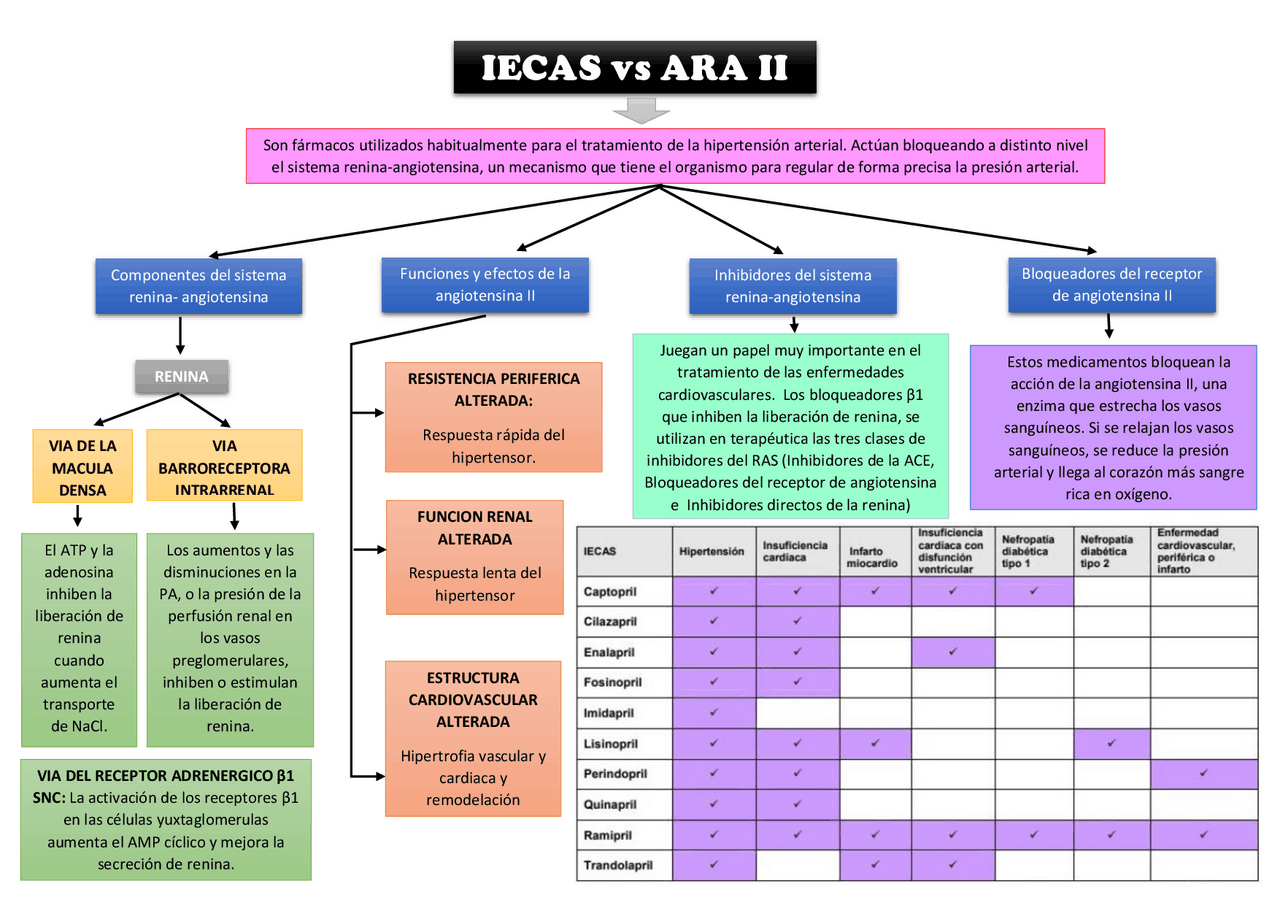 Diferencia Entre Ieca Y Ara Ii