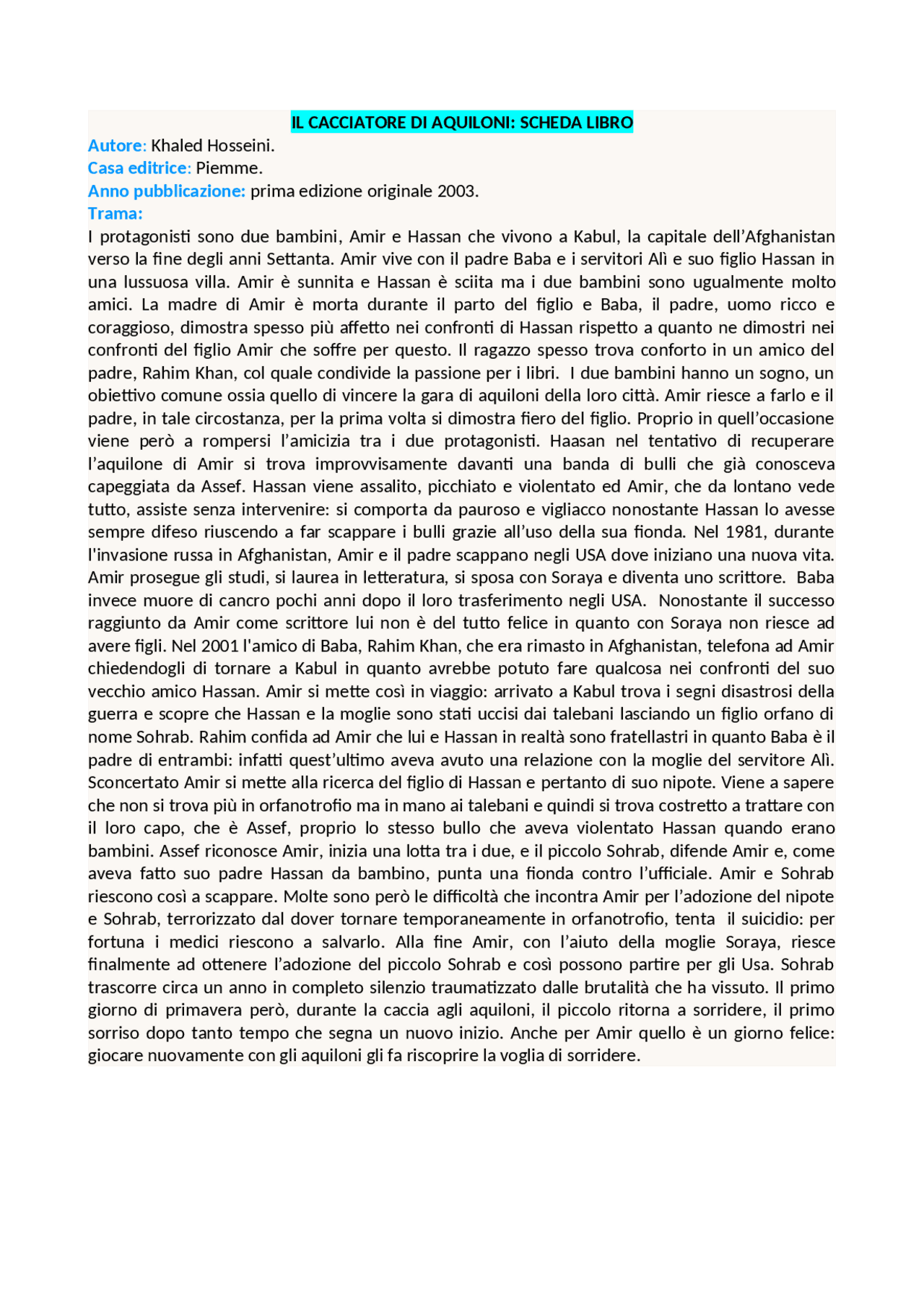 il cacciatore di aquiloni film