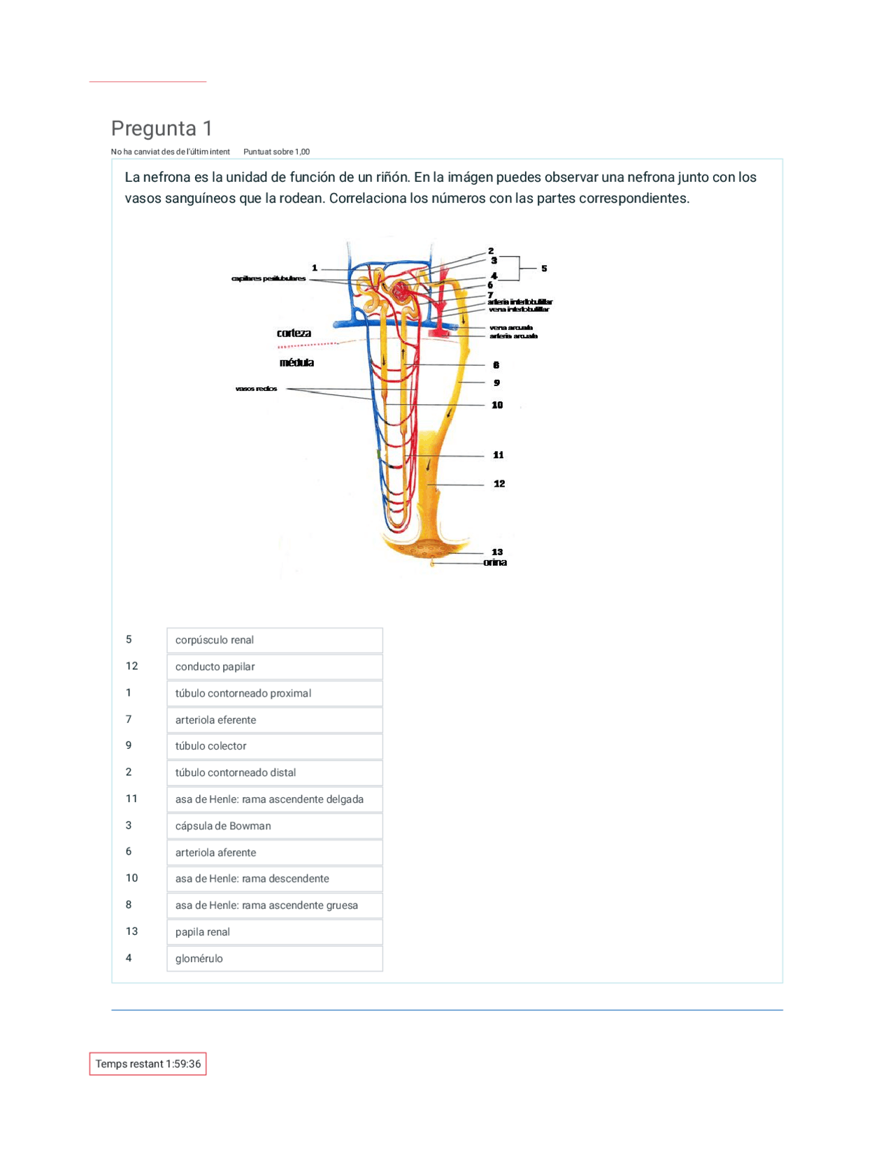 Autoevaluador Seminario Autoevaluador Reproductor 1 - Docsity