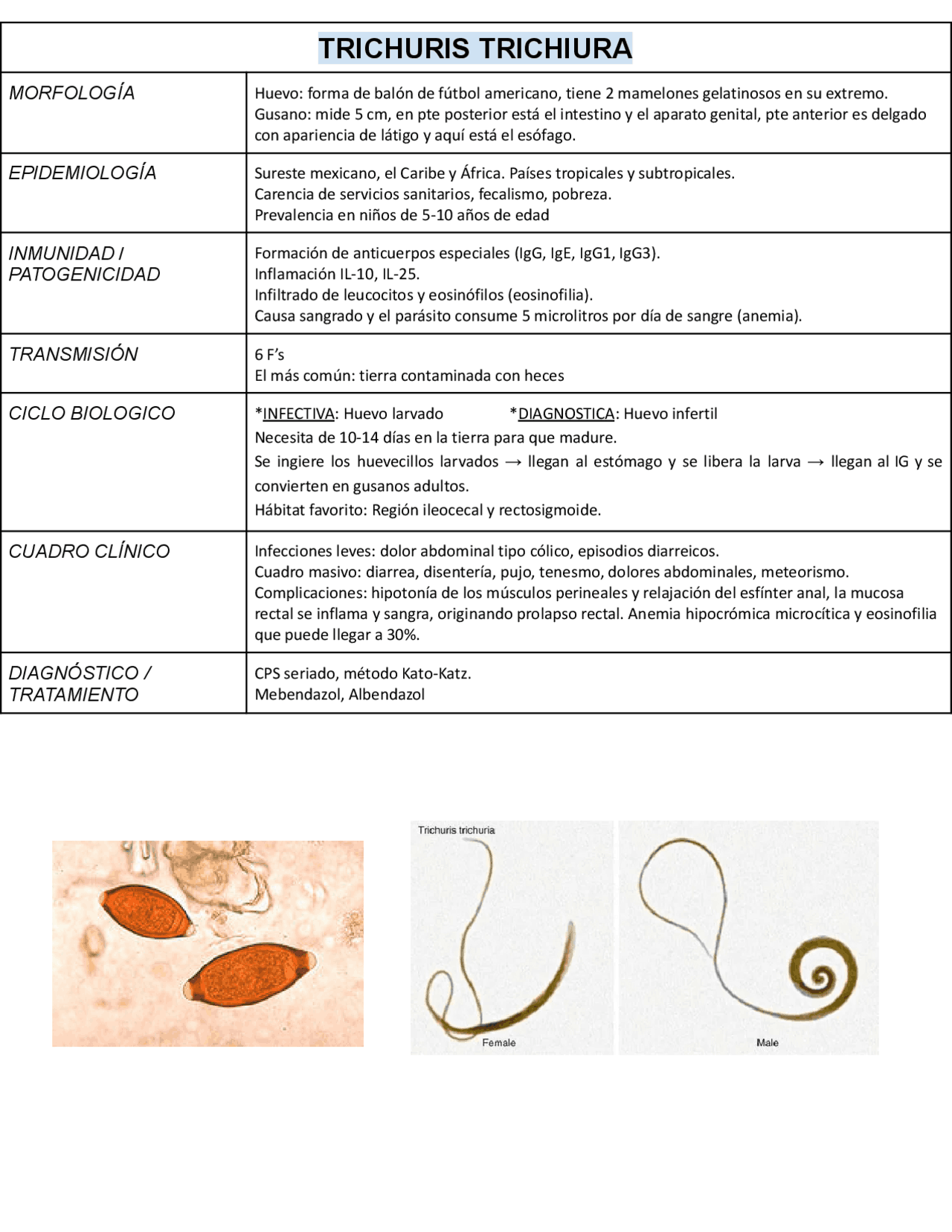 Trichuris Trichiura. - Docsity