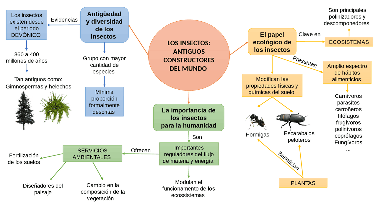 LOS INSECTOS: ANTIGUOS CONSTRUCTORES DEL MUNDO - Docsity