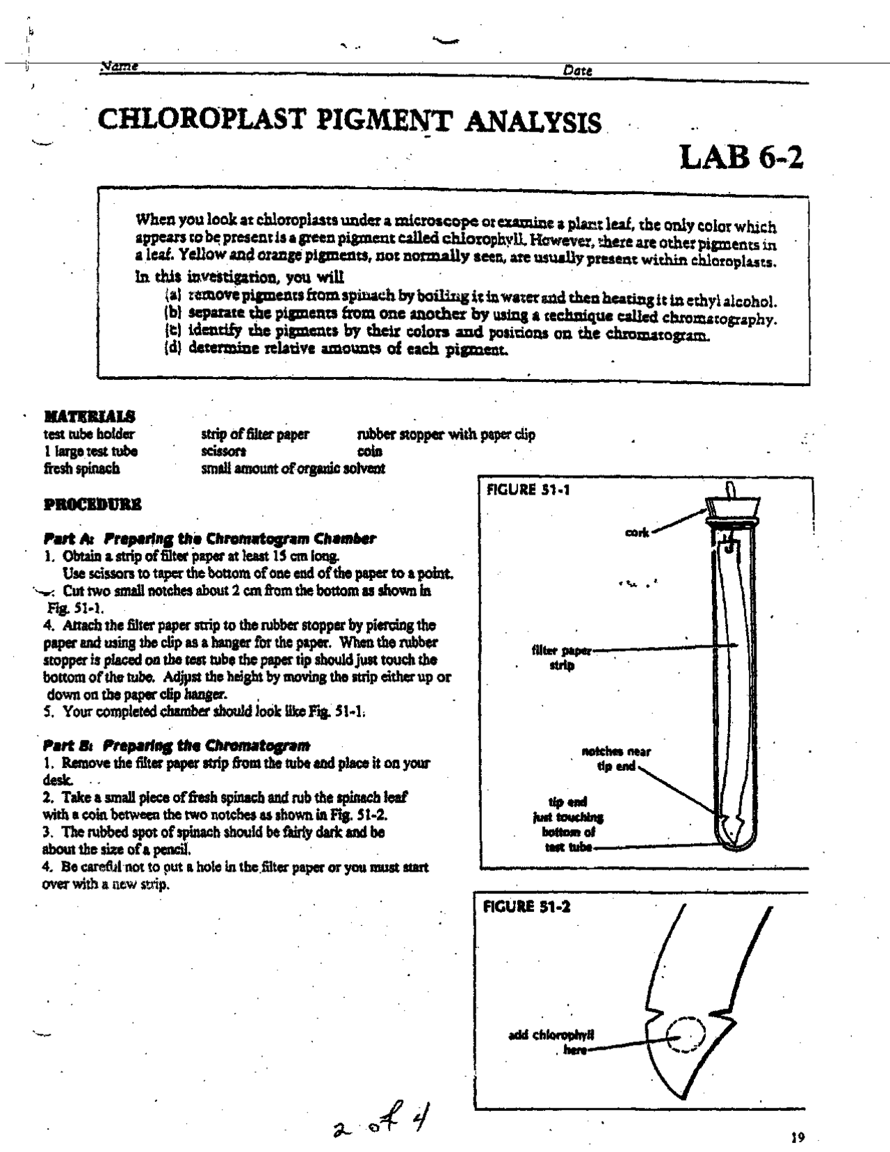 Chloroplast pigment analysis lab answers | Lab Reports Botany and ...