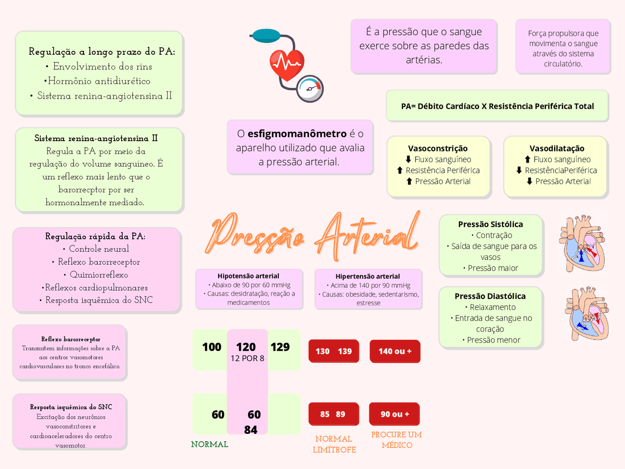 Monitor De Pressao Arterial Hospitalar