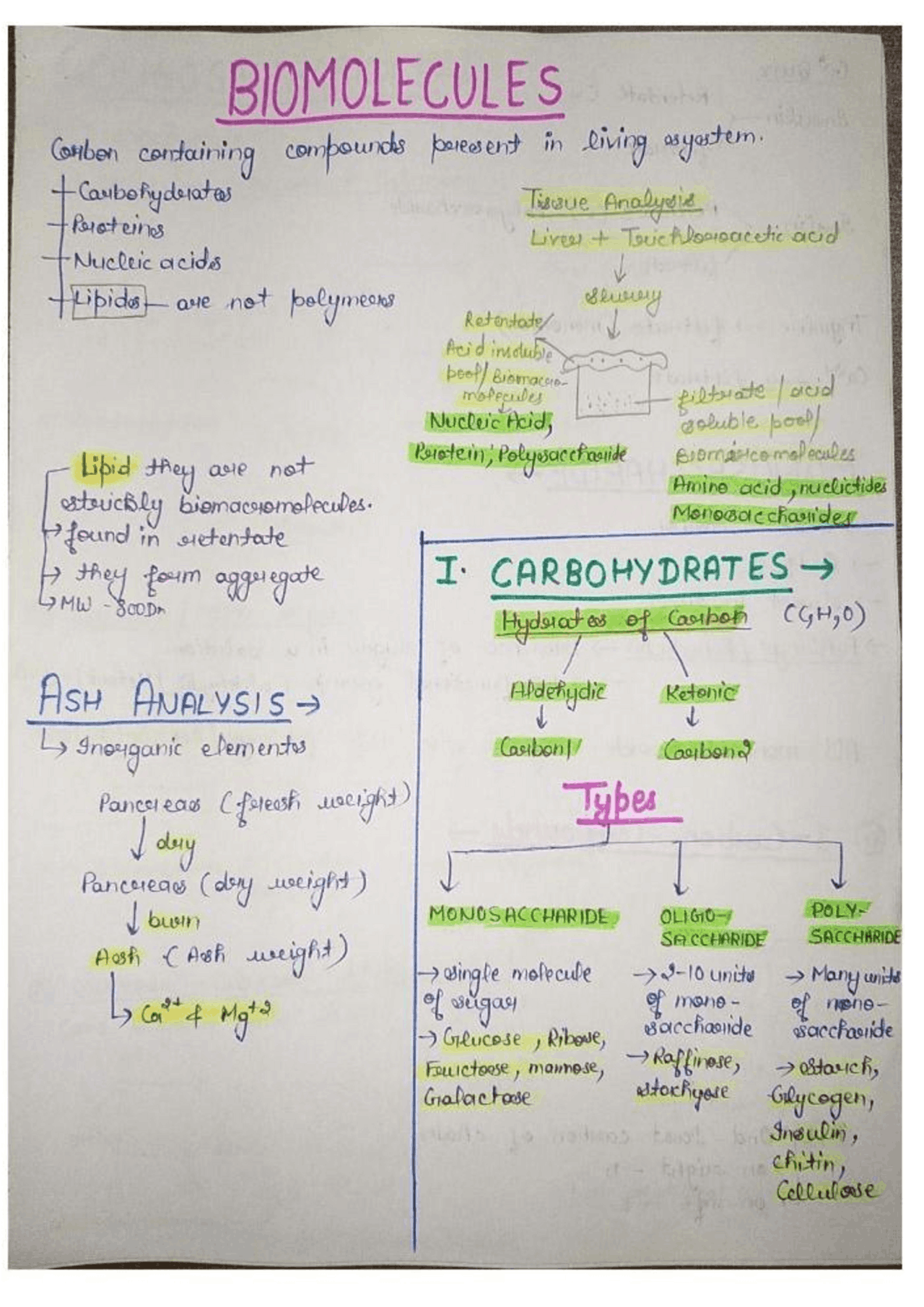 Biology - Biomolecules Handwritten Colorful Complete Notes - Docsity