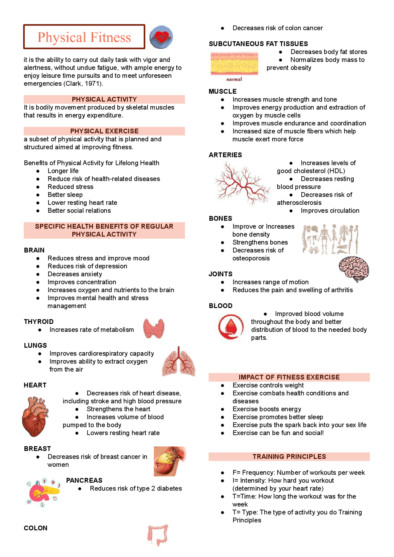 Health Exercise Notes Physical Fitness Notes - Docsity