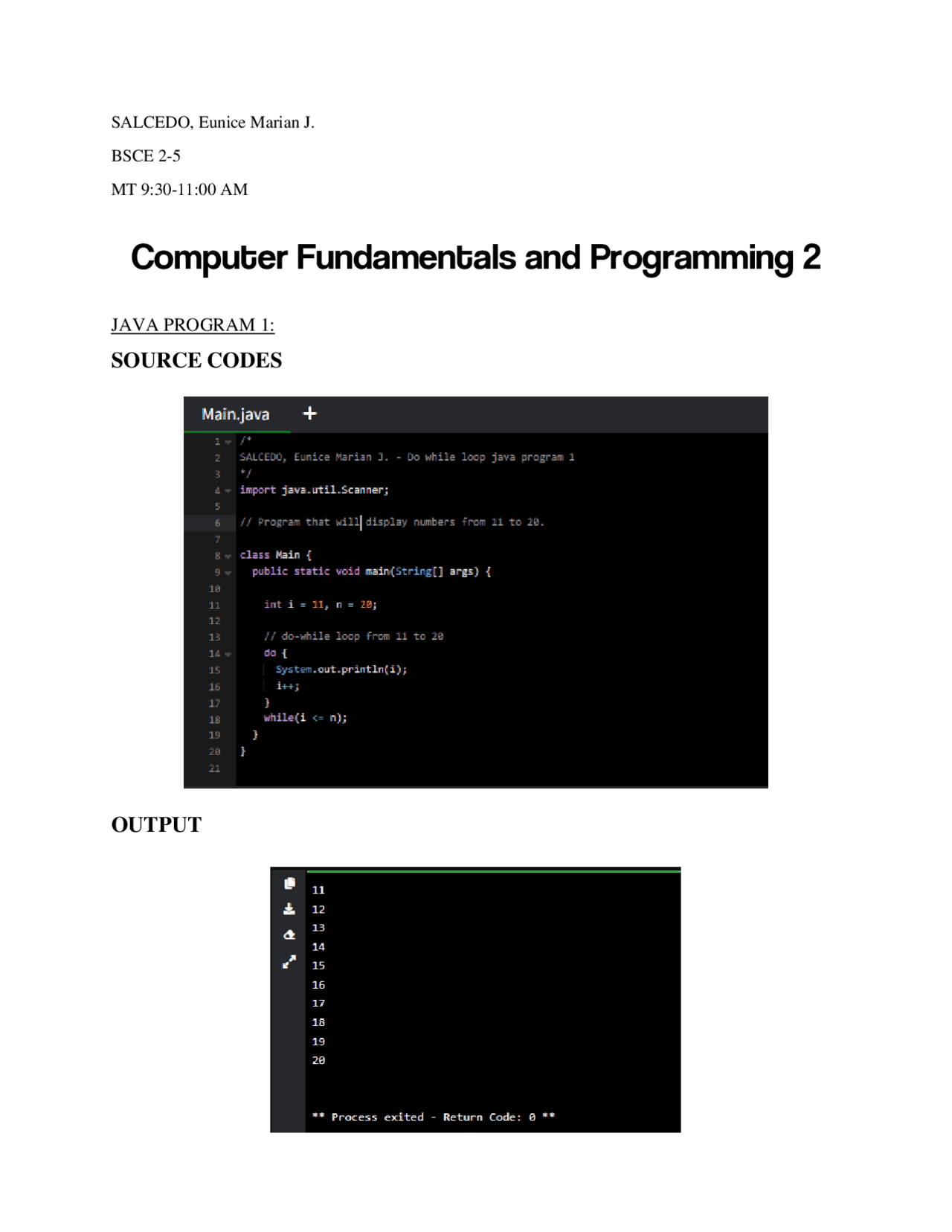 Do-While Loop EXamples | Assignments Java Programming - Docsity
