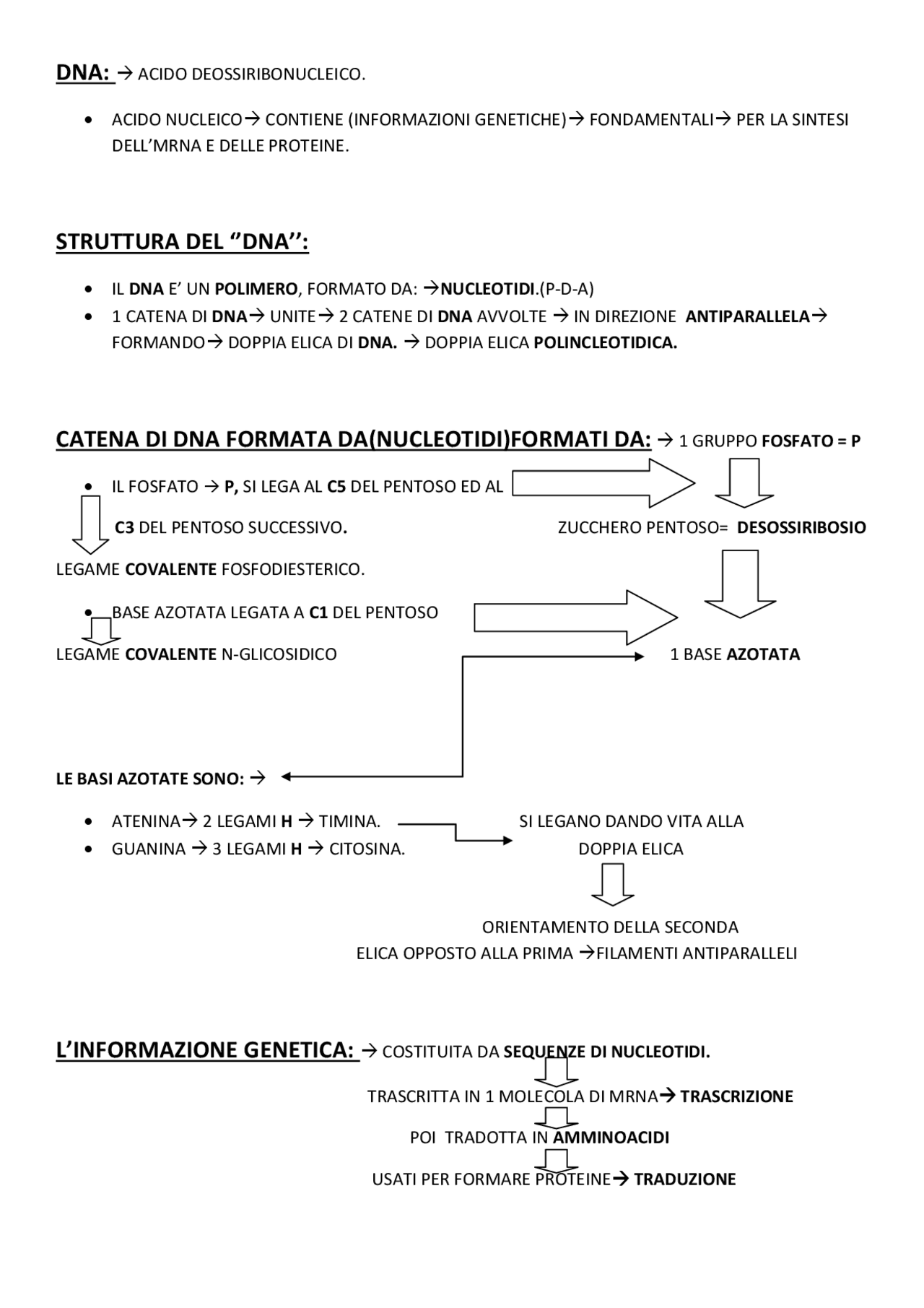 DNA: TRAS-TRAD-REPL/ RNA TIPOLOGIE - Docsity