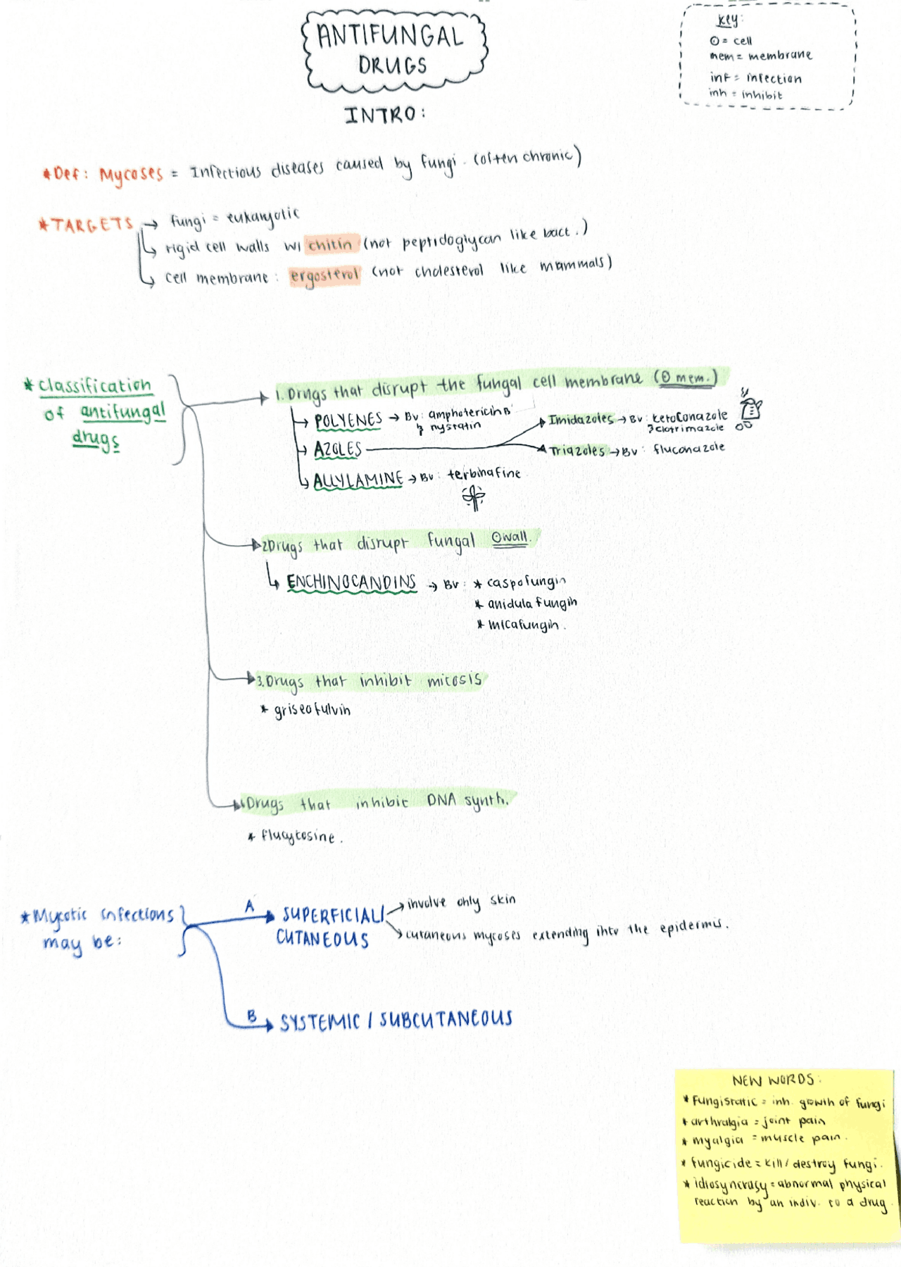 Antifungal Drugs summary Docsity