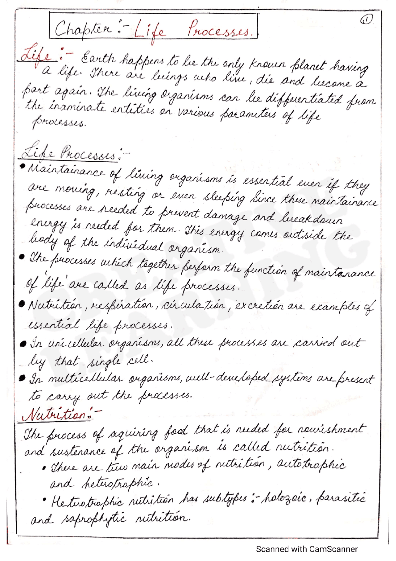 Processes in Multicellular Organisms | Study notes Biology | Docsity