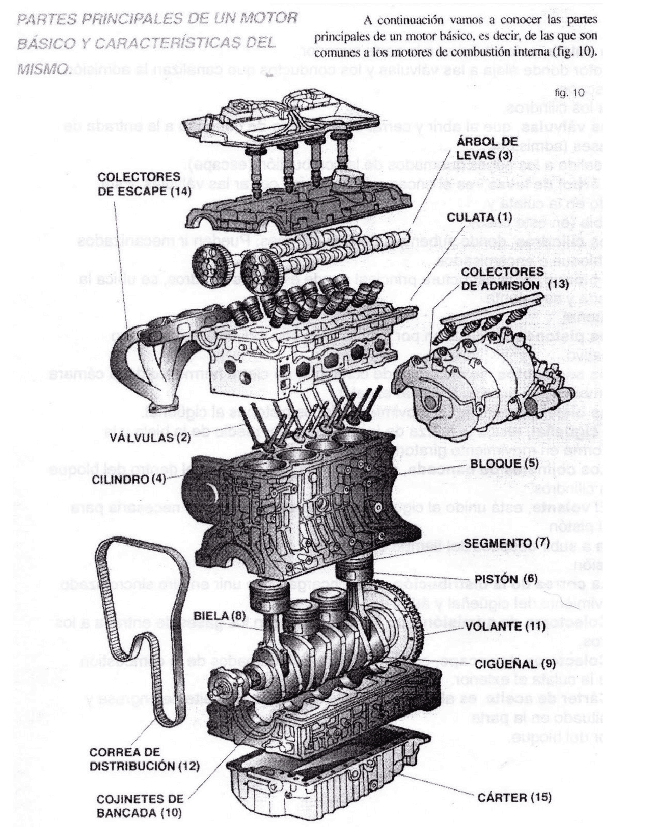 Partes del motor de un carro Guías, Proyectos, Investigaciones de Mecánica Docsity Partes del motor de un carro Guías, Proyectos, Investigaciones de Mecánica Docsity