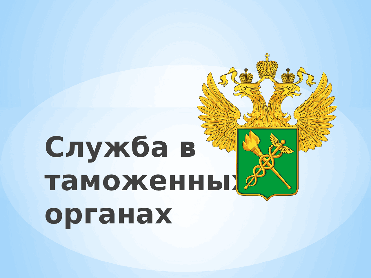 Презентация на тему таможенное дело