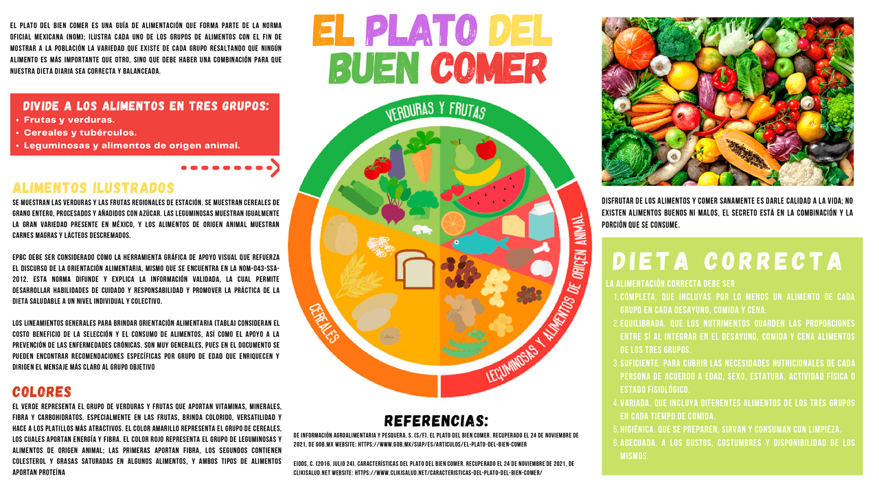 Plato del buen comer - Docsity