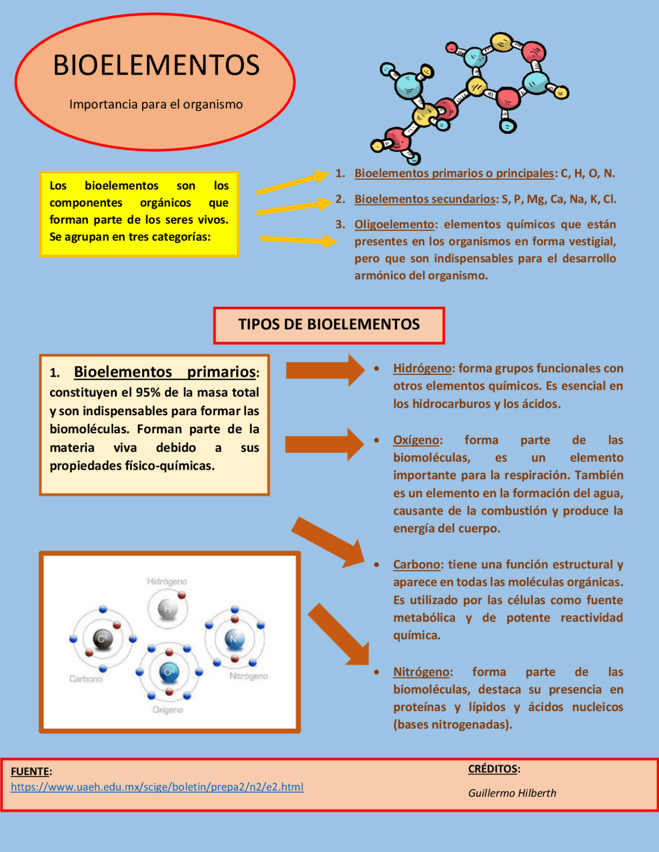 Infografía de bioelementos - Docsity