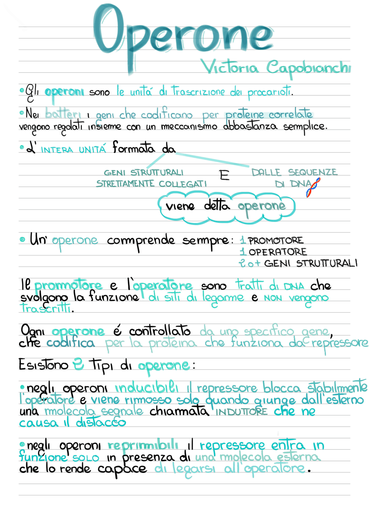 Operone, operone LAC e operone TRP - Docsity