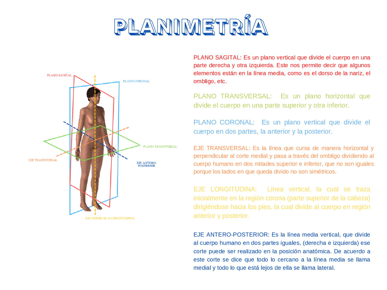 Planimetría anatómica - Docsity
