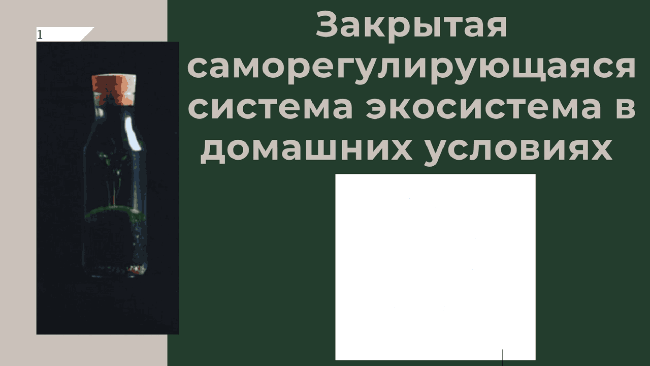 Презентация «Закрытая экосистема в банке» | Презентации Биология | Docsity
