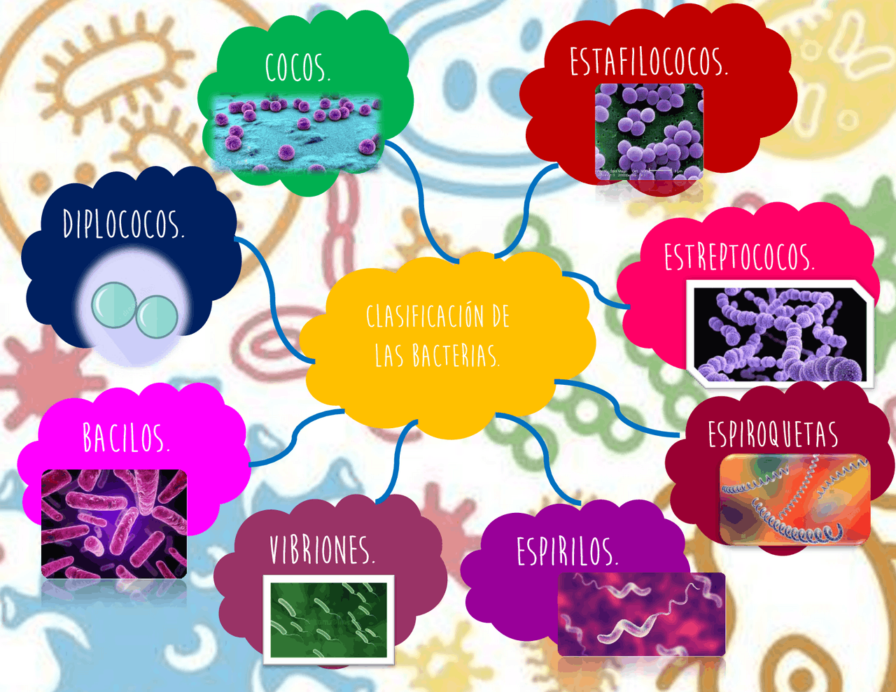 Clasificación de bacterias - Docsity