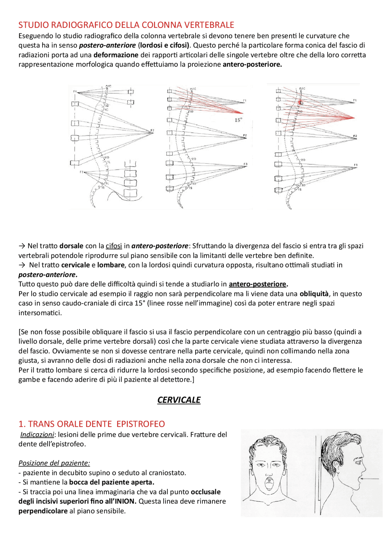 Studio radiologico del rachide - Docsity