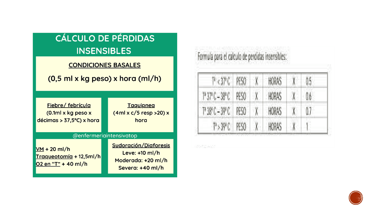 Perdidas insensibles | Diapositivas de Cirugía General | Docsity