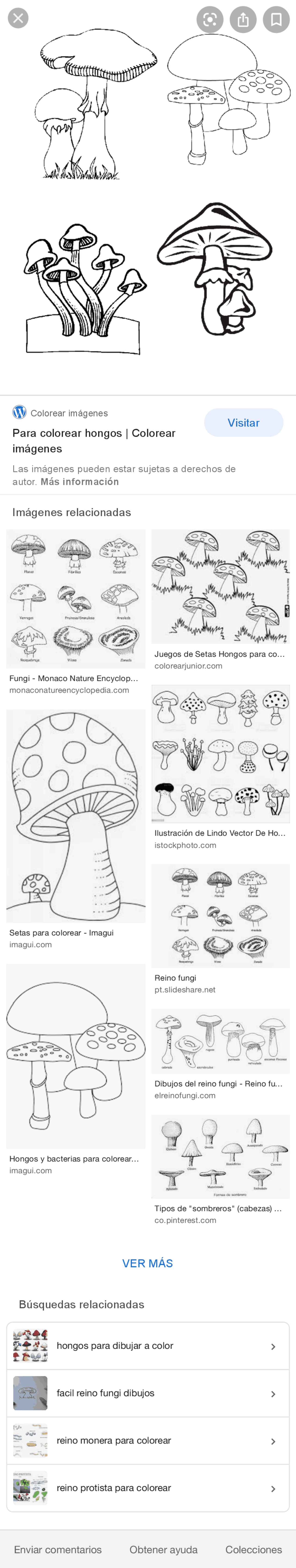 Crecimiento y desarrrolo personal | Resúmenes de Psicopatología | Docsity