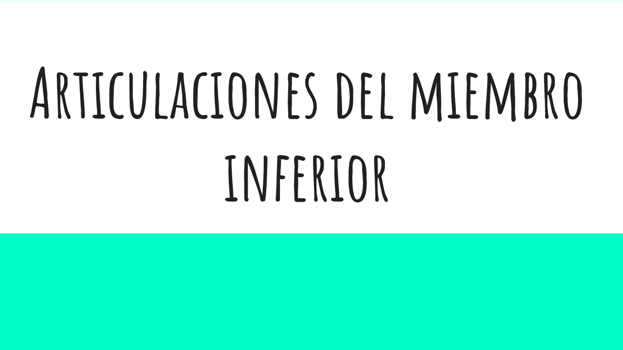 Articulaciones del miembro inferior - Docsity