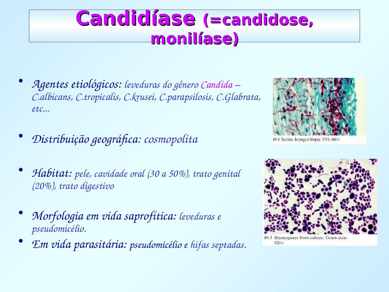 Candidiase doença infecto contagiosa | Slides Biologia - Docsity