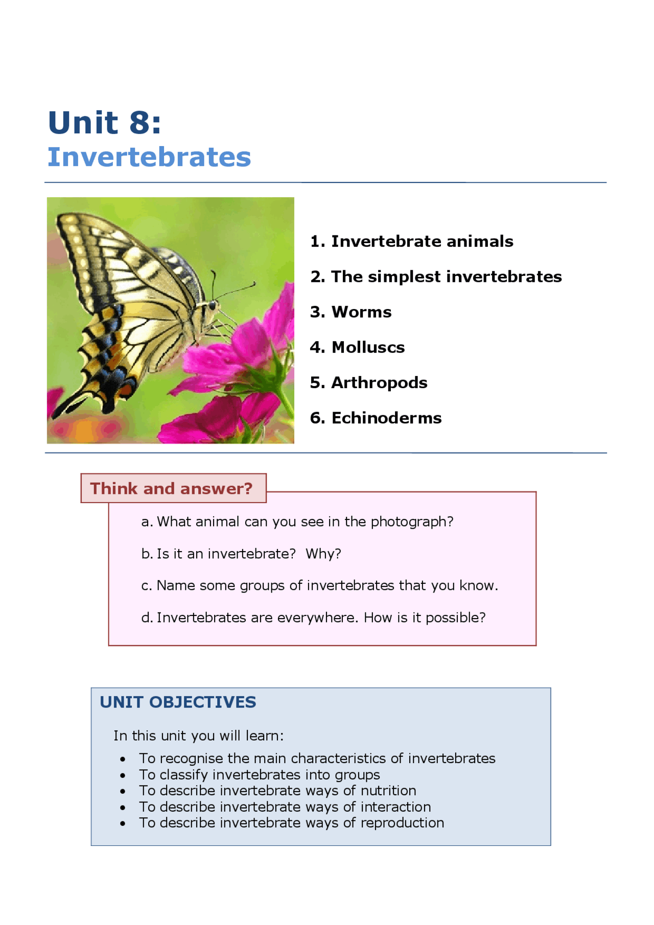 Visual Reference: Invertebrates Unit And Activites Apuntes De Ciencias De La Tierra