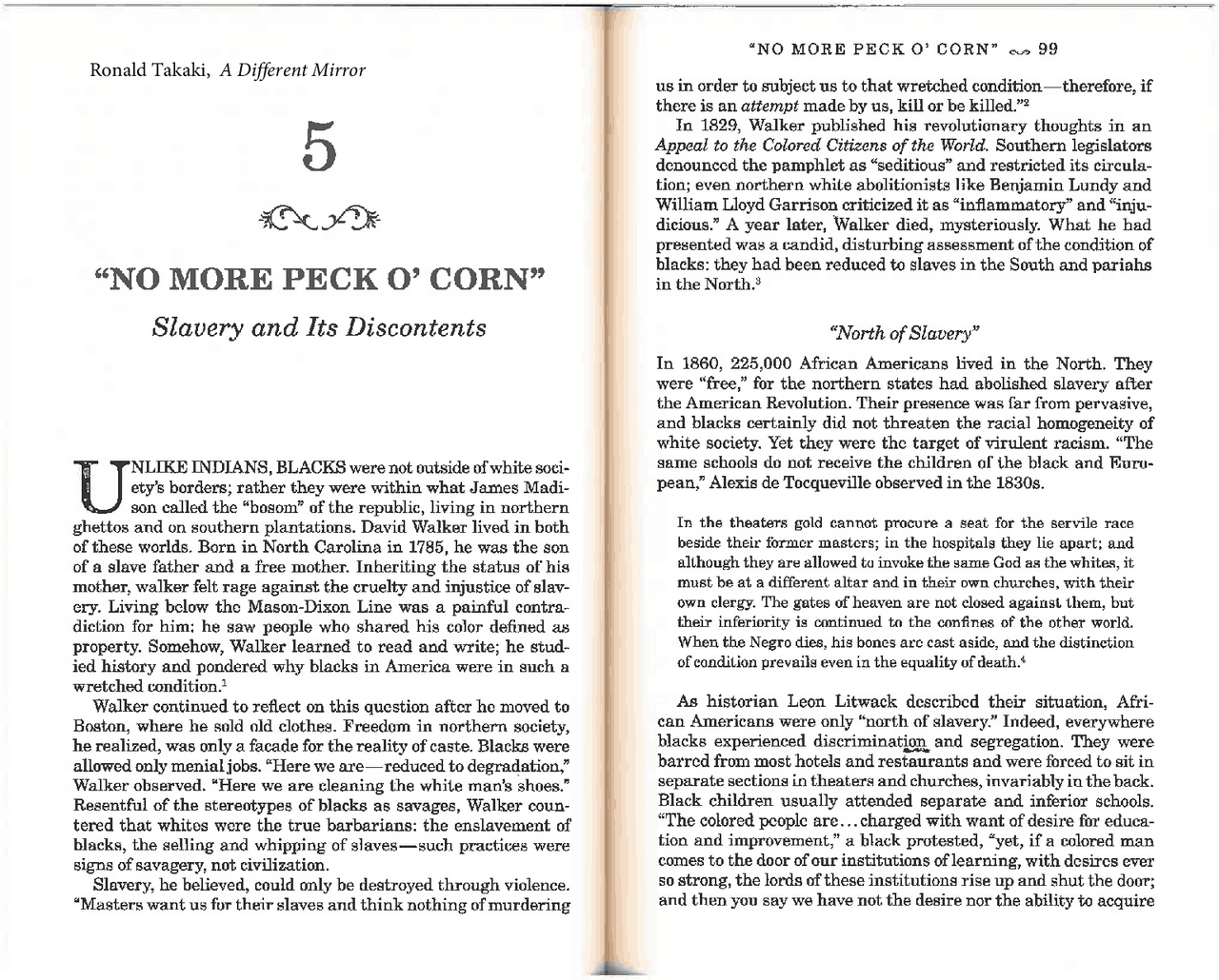 A different mirror chapter 5 in “no more peck O' Corn Study Guides