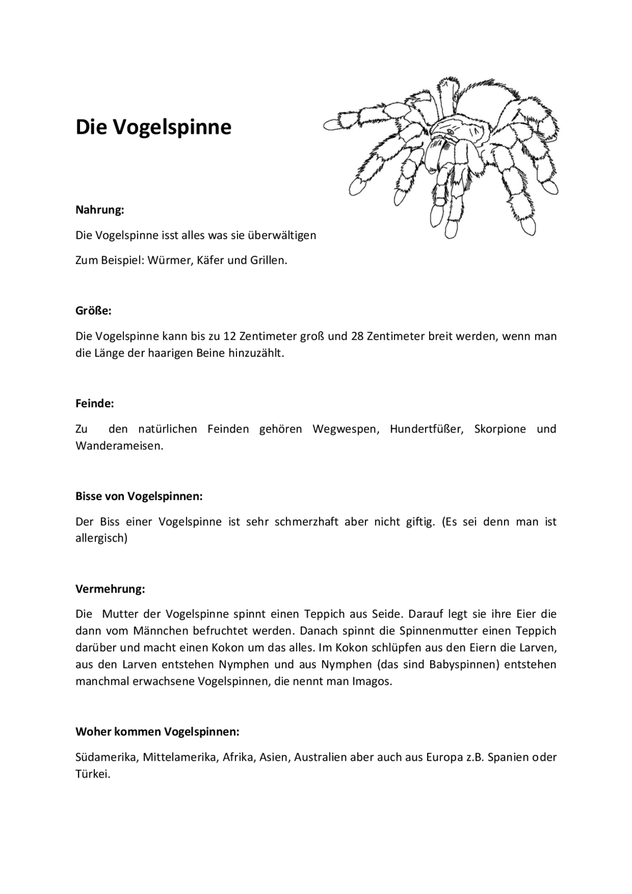Die Vogelspinne A4 5 Klasse Druckversion Docsity die-vogelspinne-a4-5-klasse-druckversion-docsity