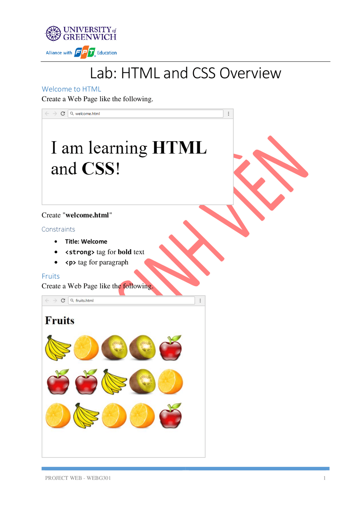 5 lecture Website Design & Development - Docsity